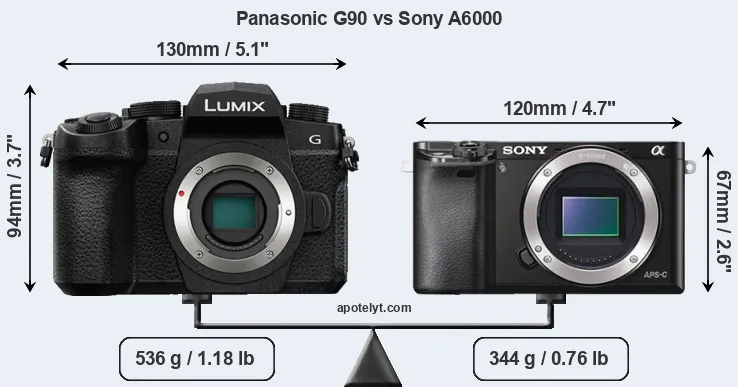 Size Panasonic G90 vs Sony A6000