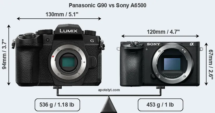 Size Panasonic G90 vs Sony A6500
