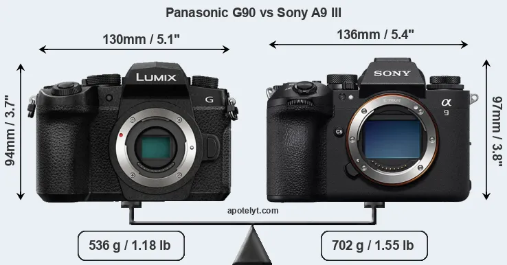 Size Panasonic G90 vs Sony A9 III