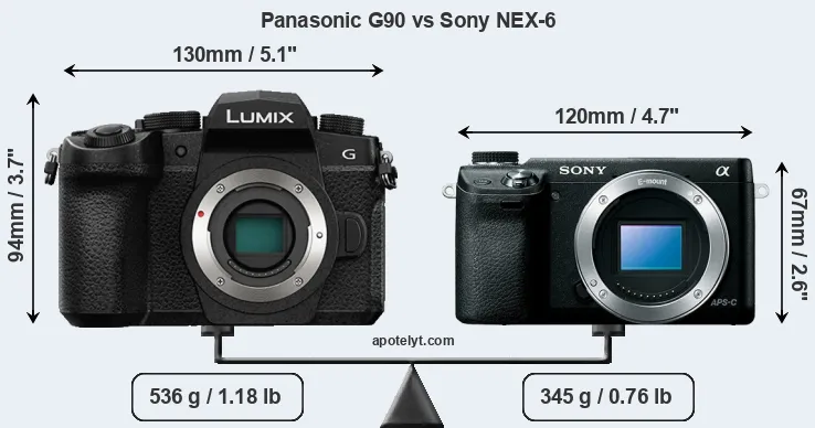 Size Panasonic G90 vs Sony NEX-6