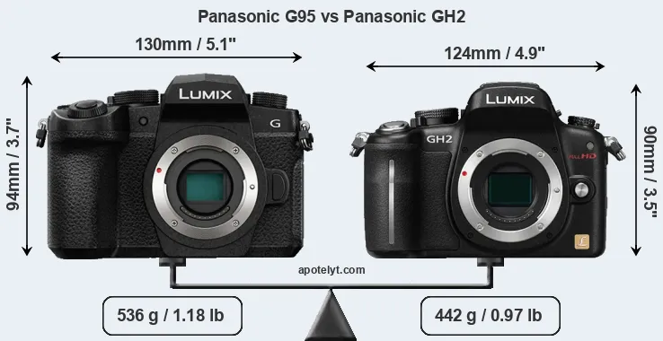 Size Panasonic G95 vs Panasonic GH2