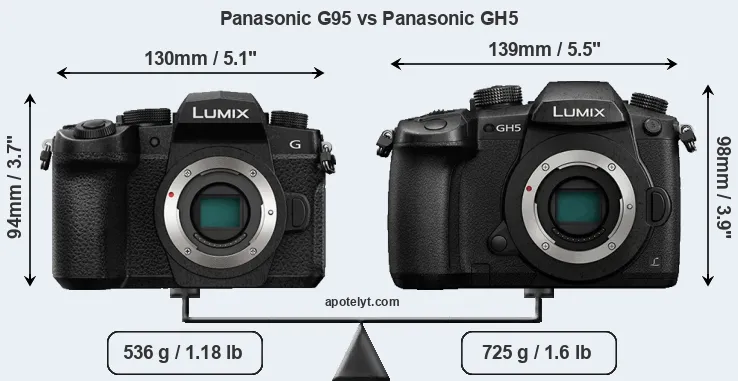 Size Panasonic G95 vs Panasonic GH5