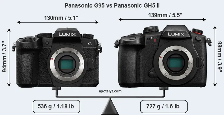 Size Panasonic G95 vs Panasonic GH5 II