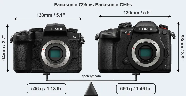 Size Panasonic G95 vs Panasonic GH5s