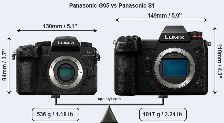 Size Panasonic G95 vs Panasonic S1