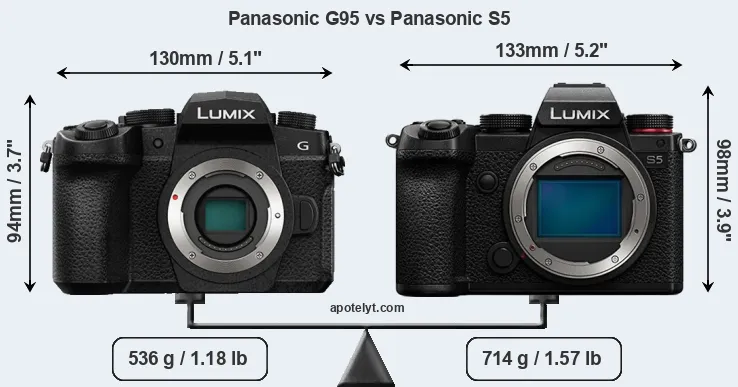 Size Panasonic G95 vs Panasonic S5