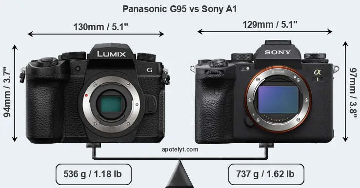 Size Panasonic G95 vs Sony A1