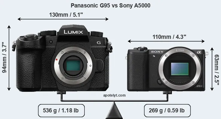 Size Panasonic G95 vs Sony A5000