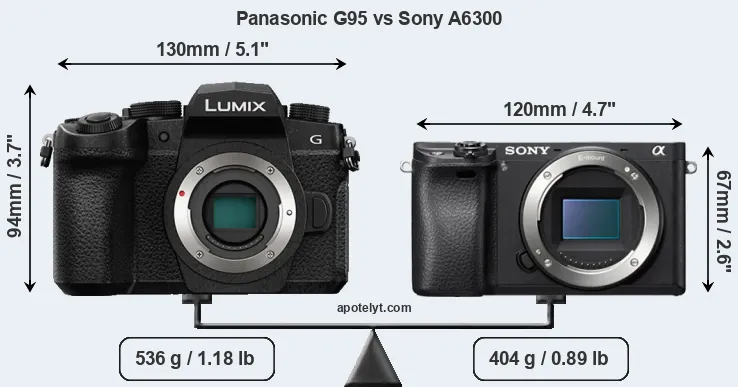 Size Panasonic G95 vs Sony A6300