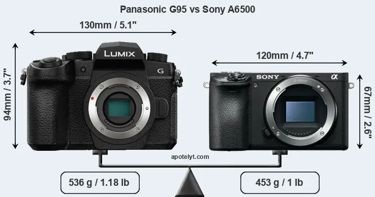 Size Panasonic G95 vs Sony A6500