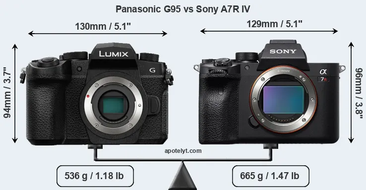 Size Panasonic G95 vs Sony A7R IV