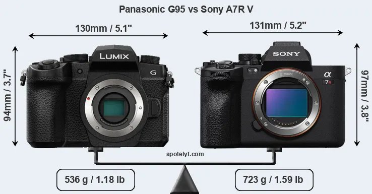 Size Panasonic G95 vs Sony A7R V