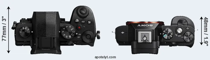 Compare G95 versus A7S top
