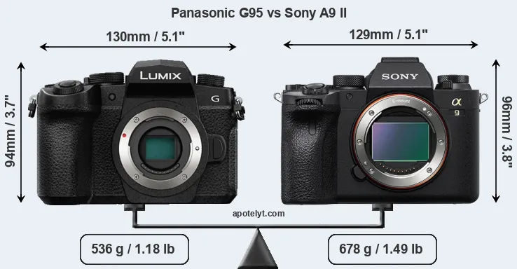 Size Panasonic G95 vs Sony A9 II