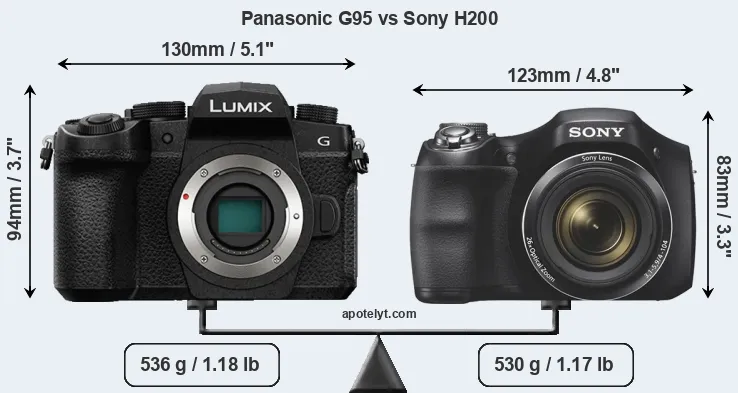 Size Panasonic G95 vs Sony H200