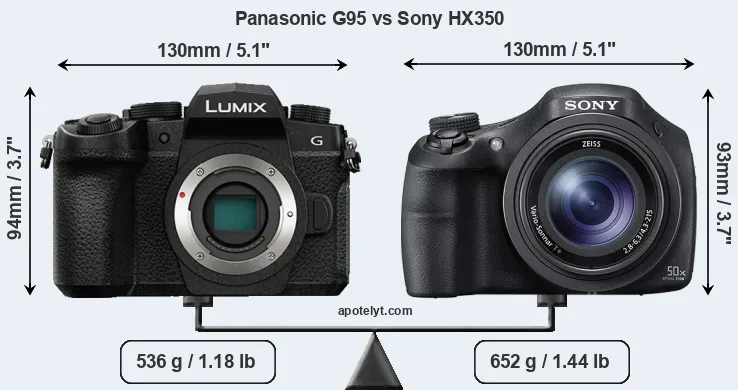 Size Panasonic G95 vs Sony HX350