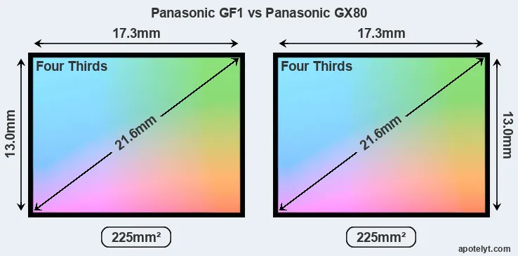 Panasonic GF1 and Panasonic GX80 sensor measures