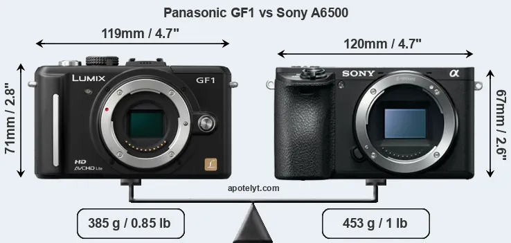 Size Panasonic GF1 vs Sony A6500