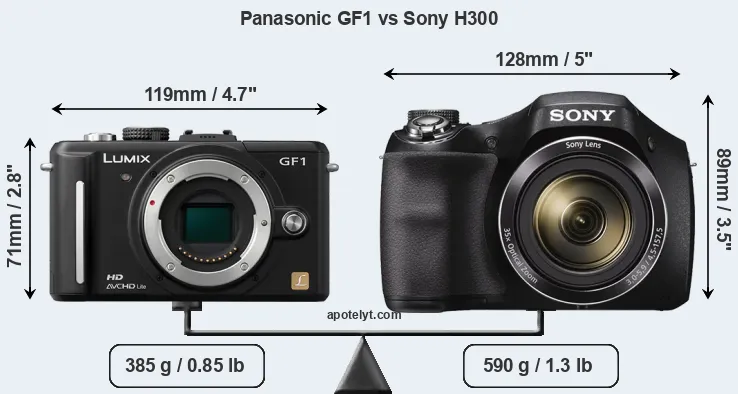 Size Panasonic GF1 vs Sony H300