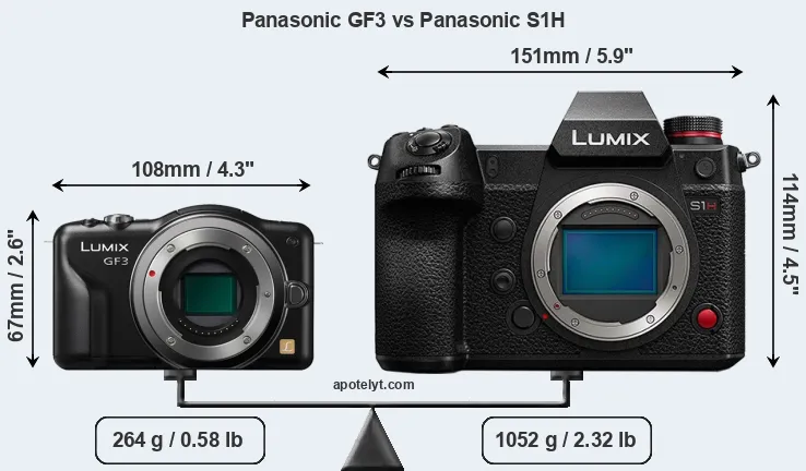 Size Panasonic GF3 vs Panasonic S1H