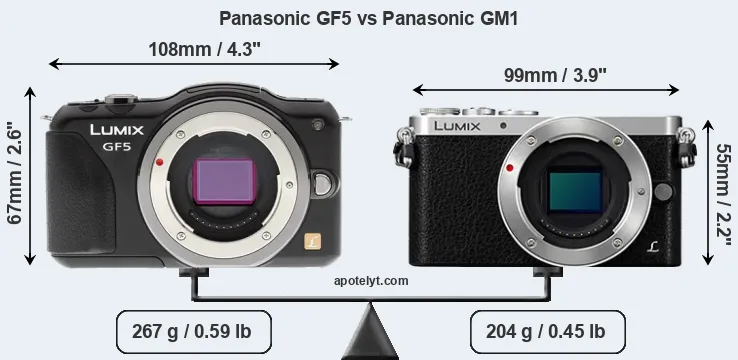 Size Panasonic GF5 vs Panasonic GM1