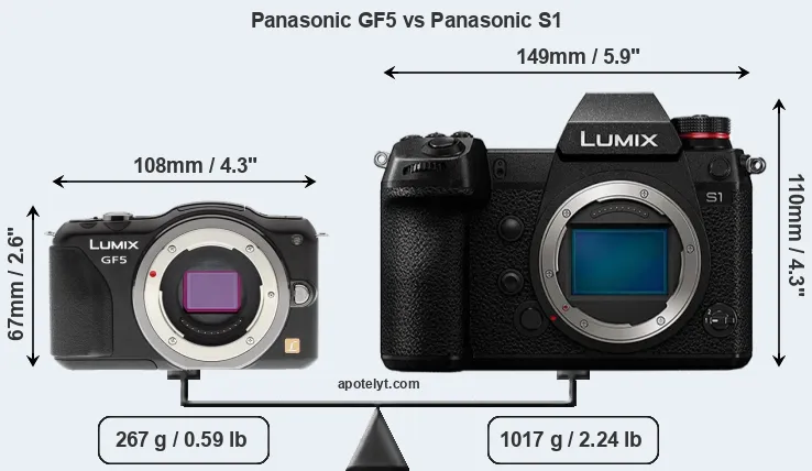 Size Panasonic GF5 vs Panasonic S1