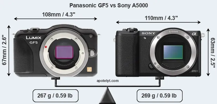 Size Panasonic GF5 vs Sony A5000