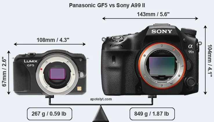 Size Panasonic GF5 vs Sony A99 II