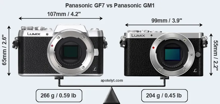 Size Panasonic GF7 vs Panasonic GM1