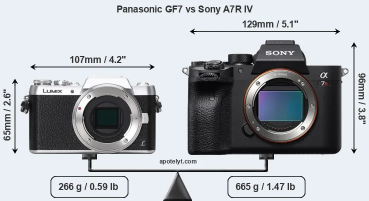 Size Panasonic GF7 vs Sony A7R IV