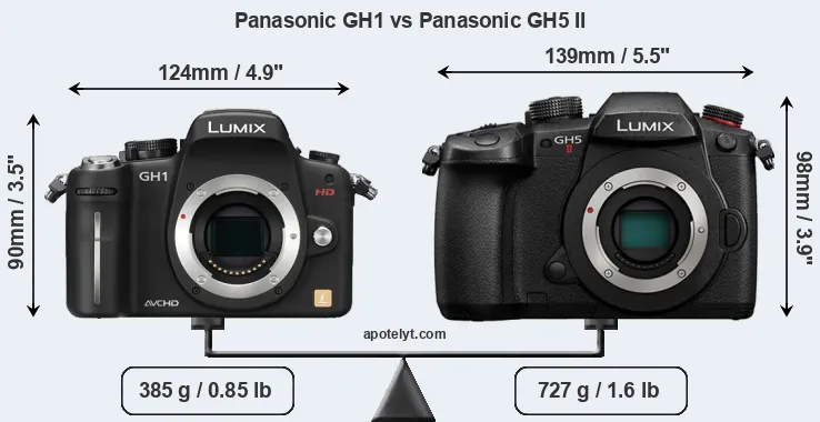 Size Panasonic GH1 vs Panasonic GH5 II