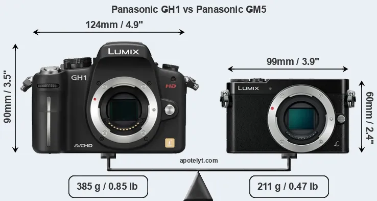 Size Panasonic GH1 vs Panasonic GM5