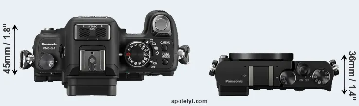Compare GH1 versus GM5 top