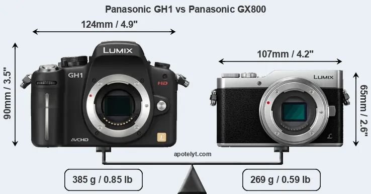Size Panasonic GH1 vs Panasonic GX800