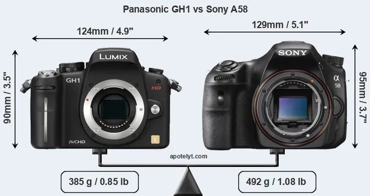 Size Panasonic GH1 vs Sony A58