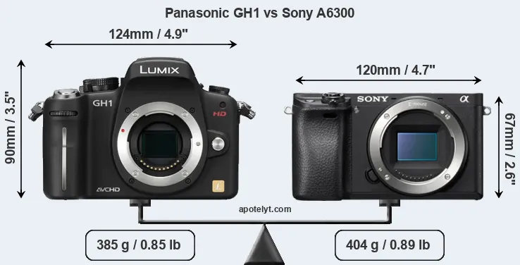 Size Panasonic GH1 vs Sony A6300