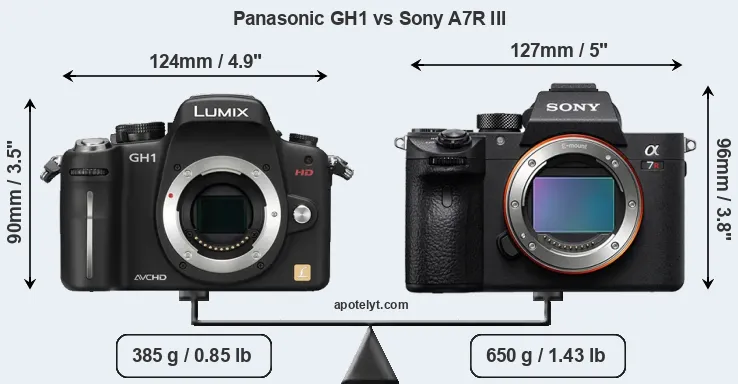 Size Panasonic GH1 vs Sony A7R III