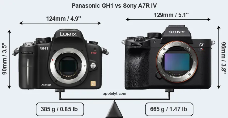 Size Panasonic GH1 vs Sony A7R IV