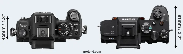 Compare GH1 versus A7S III top