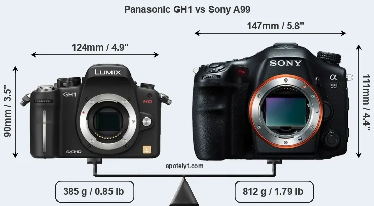 Size Panasonic GH1 vs Sony A99
