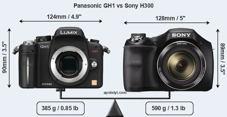 Size Panasonic GH1 vs Sony H300