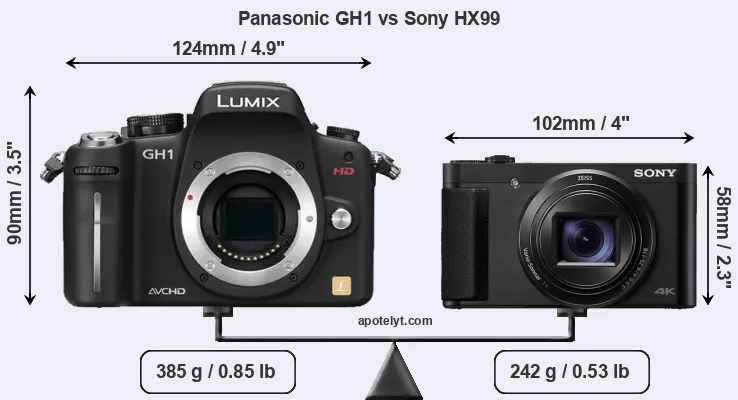 Size Panasonic GH1 vs Sony HX99