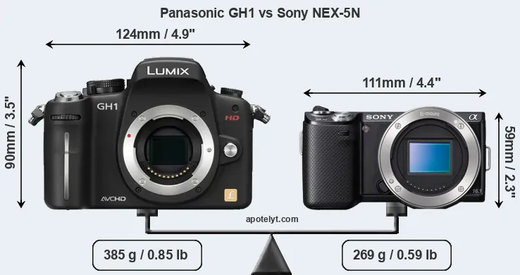 Size Panasonic GH1 vs Sony NEX-5N