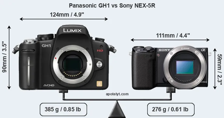 Size Panasonic GH1 vs Sony NEX-5R