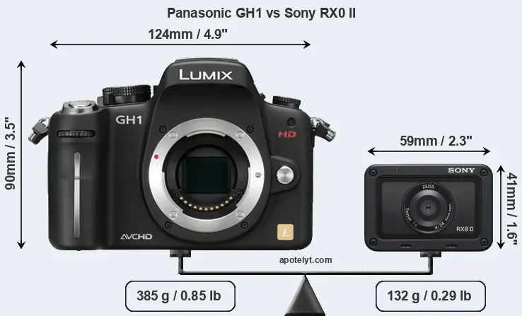 Size Panasonic GH1 vs Sony RX0 II