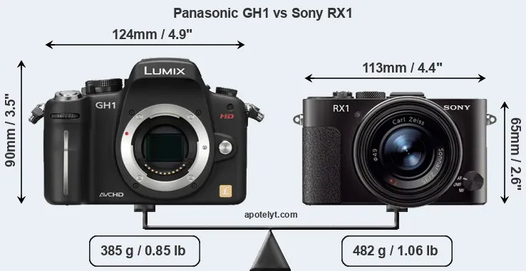Size Panasonic GH1 vs Sony RX1