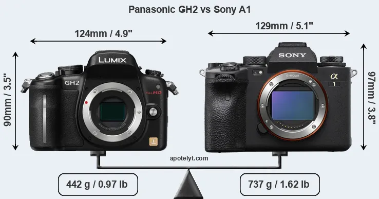 Size Panasonic GH2 vs Sony A1