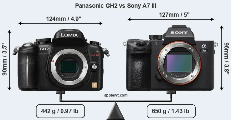 Size Panasonic GH2 vs Sony A7 III