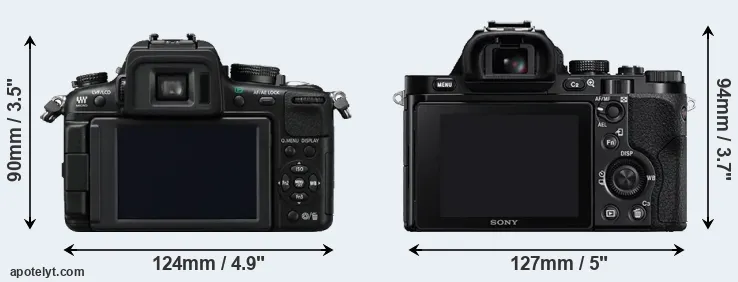 Comparison GH2 or A7 rear