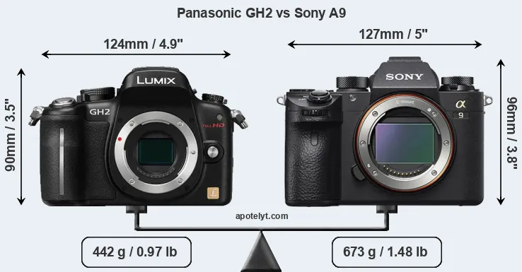 Size Panasonic GH2 vs Sony A9